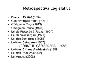 Experimentação x Direito Animal