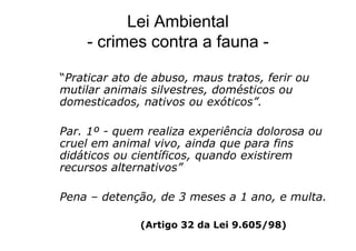 Experimentação x Direito Animal