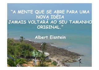 “A MENTE QUE SE ABRE PARA UMA
          NOVA IDÉIA
JAMAIS VOLTARÁ AO SEU TAMANHO
           ORIGINAL.”

         Albert Eisntein
 