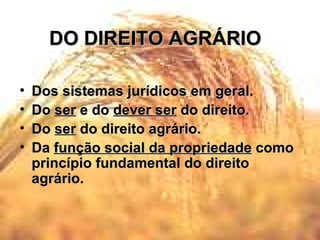 DO DIREITO AGRÁRIO Dos sistemas jurídicos em geral. Do  ser  e do  dever ser  do direito. Do  ser  do direito agrário. Da  função social da propriedade  como princípio fundamental do direito agrário. 