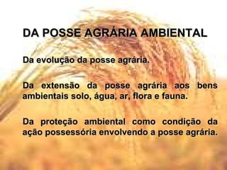 DA POSSE AGRÁRIA AMBIENTAL Da evolução da posse agrária. Da extensão da posse agrária aos bens ambientais solo, água, ar, flora e fauna. Da proteção ambiental como condição da ação possessória envolvendo a posse agrária. 
