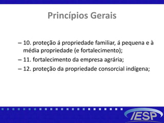 Princípios Gerais
– 10. proteção á propriedade familiar, á pequena e à
média propriedade (e fortalecimento);
– 11. fortalecimento da empresa agrária;
– 12. proteção da propriedade consorcial indígena;
 