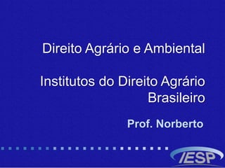 Direito Agrário e Ambiental
Institutos do Direito Agrário
Brasileiro
Prof. Norberto
 