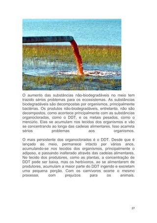 27
O aumento das substâncias não-biodegradáveis no meio tem
trazido sérios problemas para os ecossistemas. As substâncias
biodegradáveis são decompostas por organismos, principalmente
bactérias. Os produtos não-biodegradáveis, entretanto, não são
decompostos, como acontece principalmente com as substâncias
organocloradas, como o DDT, e os metais pesados, como o
mercúrio. Elas se acumulam nos tecidos dos organismos e vão
se concentrando ao longo das cadeias alimentares. Isso acarreta
sérios problemas aos organismos.
O mais persistente dos organoclorados é o DDT. Desde que é
lançado ao meio, permanece intacto por vários anos,
acumulando-se nos tecidos dos organismos, principalmente o
adiposo, e passando inalterado através das cadeias alimentares.
No tecido dos produtores, como as plantas, a concentração de
DDT pode ser baixa, mas os herbívoros, ao se alimentarem de
produtores, acumulam a maior parte do DDT ingerido e excretam
uma pequena porção. Com os carnívoros ocorre o mesmo
processo, com prejuízos para os animais.
 
