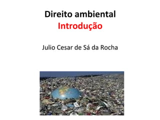 Direito ambiental
   Introdução

Julio Cesar de Sá da Rocha
 