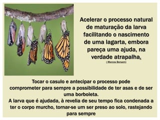 Acelerar o processo natural 
de maturação da larva 
facilitando o nascimento 
de uma lagarta, embora 
pareça uma ajuda, na 
verdade atrapalha. 
Tocar o casulo e antecipar o processo pode 
comprometer para sempre a possibilidade de ter asas e de ser 
uma borboleta. 
A larva que é ajudada, à revelia de seu tempo fica condenada a 
ter o corpo murcho, tornar-se um ser preso ao solo, rastejando 
para sempre 
( Marcos Bersam) 
 