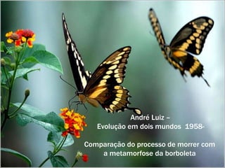 André Luiz – 
Evolução em dois mundos 1958- 
Comparação do processo de morrer com 
a metamorfose da borboleta 
 