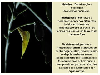 Histólise : Deterioração e 
dissolução 
dos tecidos orgânicos. 
Histogênese : Formação e 
desenvolvimento dos diferentes 
tecidos embrionários. 
Modificação que se opera nos 
tecidos dos insetos, ao término da 
metamorfose 
Os sistemas digestivos e 
musculares sofrem alterações de 
cunho degenerativo, reconstruindo-se 
depois em bases novas. 
Nessa reconstrução (histogênese), 
formam-se novo orifício bucal e 
trompas de sucção e os músculos 
estriados são substituídos por 
órgãos novos. 
 