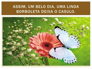 ASSIM, UM BELO DIA, UMA LINDA 
BORBOLETA DEIXA O CASULO. 
 