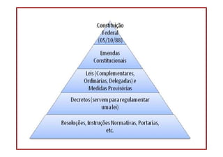 DIREITO CONSTITUCIONAL
Professora Amanda Alves Almozara
31
 