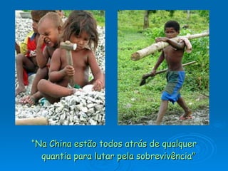 “ Na China estão todos atrás de qualquer quantia para lutar pela sobrevivência” 