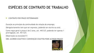 ESPÉCIES DE CONTRATO DE TRABALHO
 CONTRATO POR PRAZO DETERMINADO
Exceção ao princípio da continuidade da relação de emprego;
Obrigatoriamente tem que ser expresso, podendo ser escrito ou oral;
Como regra geral o prazo é de 2 anos, art. 445 CLT, podendo ter apenas 1
prorrogação, art. 451 CLT;
Observação as exceções!!!!
OBS: ACORDO COLETIVO E CONVENÇÃO COLETIVA PODE ALTERAR PRAZO?
 