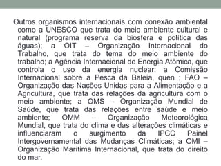 Outros organismos internacionais com conexão ambiental como a UNESCO que trata do meio ambiente cultural e natural (programa reserva da biosfera e política das águas); a OIT – Organização Internacional do Trabalho, que trata do tema do meio ambiente do trabalho; a Agência Internacional de Energia Atômica, que controla o uso da energia nuclear; a Comissão Internacional sobre a Pesca da Baleia, quen ; FAO – Organização das Nações Unidas para a Alimentação e a Agricultura, que trata das relações da agricultura com o meio ambiente; a OMS – Organização Mundial de Saúde, que trata das relações entre saúde e meio ambiente; OMM – Organização Meteorológica Mundial, que trata do clima e das alterações climáticas e influenciaram o surgimento da IPCC Painel Intergovernamental das Mudanças Climáticas; a OMI – Organização Marítima Internacional, que trata do direito do mar.