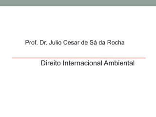 Prof. Dr. Julio Cesar de Sá da Rocha DireitoInternacionalAmbiental 