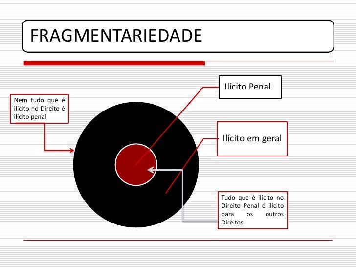 O Que é O Princípio Da Fragmentariedade