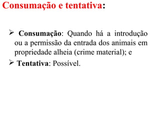Consumação e tentativa:
 Consumação: Quando há a introdução
ou a permissão da entrada dos animais em
propriedade alheia (crime material); e
 Tentativa: Possível.
 