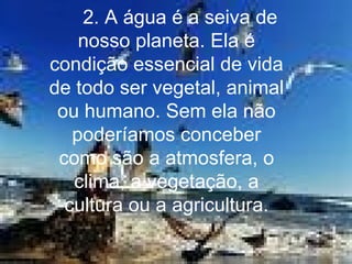       2. A água é a seiva de nosso planeta. Ela é condição essencial de vida de todo ser vegetal, animal ou humano. Sem ela não poderíamos conceber como são a atmosfera, o clima, a vegetação, a cultura ou a agricultura. 