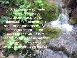 5. A água não é somente herança de nossos predecessores; ela é, sobretudo, um empréstimo aos nossos sucessores. Sua proteção constitui uma necessidade vital, assim como a obrigação moral do homem para com as gerações presentes e futuras. 