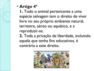 Artigo 4º 1.  Todo o animal pertencente a uma espécie selvagem tem o direito de viver livre no seu próprio ambiente natural, terrestre, aéreo ou aquático, e a reproduzir-se.  2.  Toda a privação de liberdade, incluindo aquela que tenha fins educativos, é contrária a este direito. 