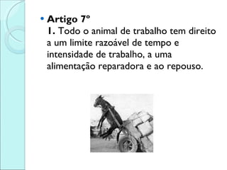Artigo 7º 1.  Todo o animal de trabalho tem direito a um limite razoável de tempo e intensidade de trabalho, a uma alimentação reparadora e ao repouso. 
