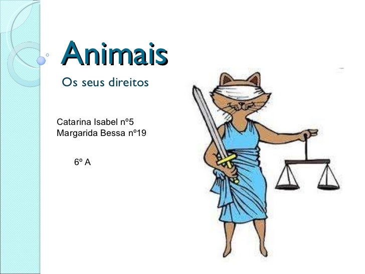 Animais Os seus direitos  Catarina Isabel nº5 Margarida Bessa nº19  6º A 