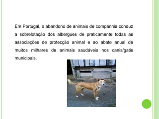 Em Portugal, o abandono de animais de companhia conduz a sobrelotação dos albergues de praticamente todas as associações de protecção animal e ao abate anual de muitos milhares de animais saudáveis nos canis/gatis municipais.  