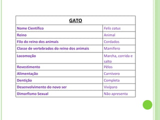 GATO Nome Científico Felis catus Reino Animal Filo do reino dos animais Cordados Classe de vertebrados do reino dos animais Mamífero Locomoção Marcha, corrida e salto Revestimento Pêlos Alimentação Carnívoro Dentição Completa Desenvolvimento do novo ser Vivíparo Dimorfismo Sexual Não apresenta 