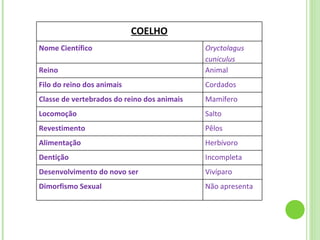COELHO Nome Científico Oryctolagus cuniculus Reino Animal Filo do reino dos animais Cordados Classe de vertebrados do reino dos animais Mamífero Locomoção Salto Revestimento Pêlos Alimentação Herbívoro Dentição Incompleta Desenvolvimento do novo ser Vivíparo Dimorfismo Sexual Não apresenta 