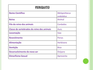 PERIQUITO Nome Científico Melopsittacus undulatus Reino Animal Filo do reino dos animais Cordados Classe de vertebrados do reino dos animais Aves Locomoção Voo Revestimento Penas Alimentação Herbívoro Dentição Bico Desenvolvimento do novo ser Ovíparo Dimorfismo Sexual Apresenta 