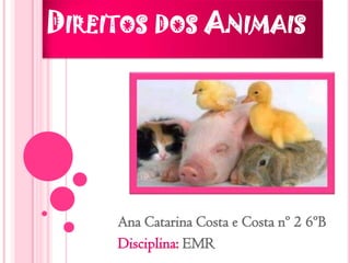 Direitos dos Animais Ana Catarina Costa e Costa nº 2 6ºB Disciplina: EMR 