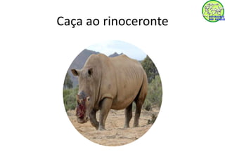 Caça ao rinoceronte 
 