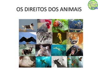 OS DIREITOS DOS ANIMAIS 
 