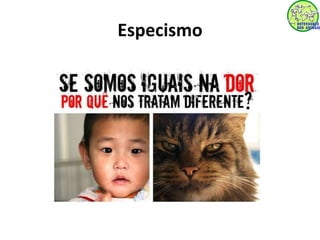 Especismo 
 