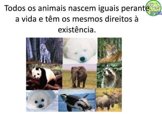 Todos os animais nascem iguais perante 
a vida e têm os mesmos direitos à 
existência. 
 