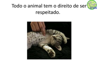 Todo o animal tem o direito de ser 
respeitado. 
 