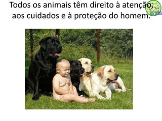 Todos os animais têm direito à atenção, 
aos cuidados e à proteção do homem. 
 