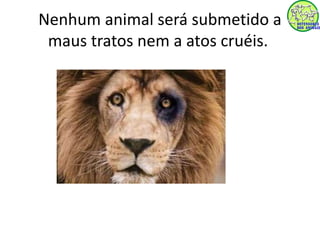 Nenhum animal será submetido a 
maus tratos nem a atos cruéis. 
 