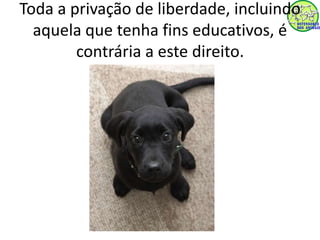 Toda a privação de liberdade, incluindo 
aquela que tenha fins educativos, é 
contrária a este direito. 
 