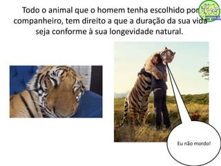 Todo o animal que o homem tenha escolhido por 
companheiro, tem direito a que a duração da sua vida 
seja conforme à sua longevidade natural. 
Eu não mordo! 
 