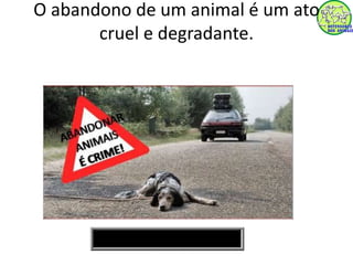 O abandono de um animal é um ato 
cruel e degradante. 
 