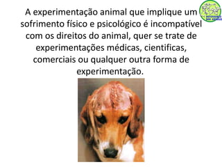 A experimentação animal que implique um 
sofrimento físico e psicológico é incompatível 
com os direitos do animal, quer se trate de 
experimentações médicas, cientificas, 
comerciais ou qualquer outra forma de 
experimentação. 
 