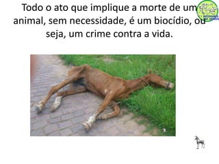 Todo o ato que implique a morte de um 
animal, sem necessidade, é um biocídio, ou 
seja, um crime contra a vida. 
 