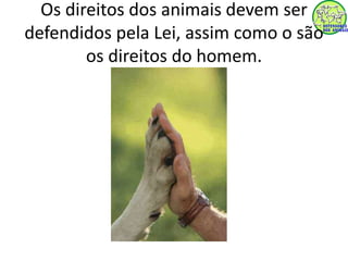 Os direitos dos animais devem ser 
defendidos pela Lei, assim como o são 
os direitos do homem. 
 