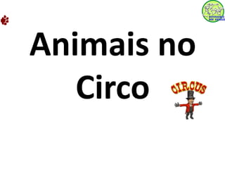 Animais no 
Circo 
 