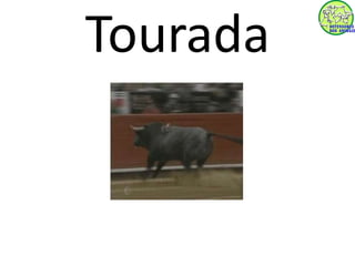 Tourada 
 
