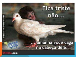 Direitos dos sindicalistas