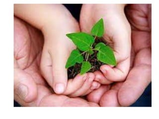 Direitos humanos.ppt