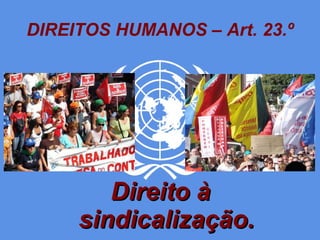 DIREITOS HUMANOS – Art. 23.º Direito à sindicalização. 