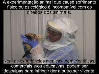 A experimentação animal que cause sofrimento físico ou psicológico é incompatível com os  direitos dos animais.   Nem as experiências médicas, nem científicas,  comerciais e/ou educativas, podem ser desculpas para infringir dor a outro ser vivente. 