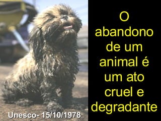 O abandono de um animal é um ato cruel e degradante Unesco- 15/10/1978 